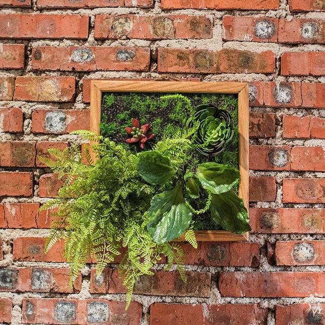 Wand Rahmen mit Pflanzen - Warenmeister