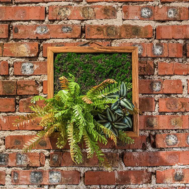 Wand Rahmen mit Pflanzen - Warenmeister